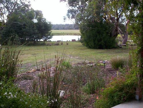Wind Song Bed & Breakfast Little Swanport Buitenkant foto